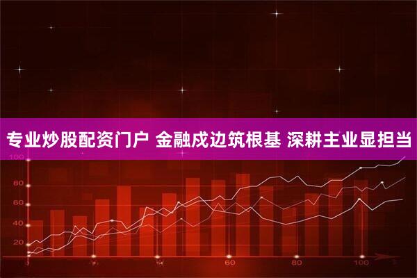 专业炒股配资门户 金融戍边筑根基 深耕主业显担当